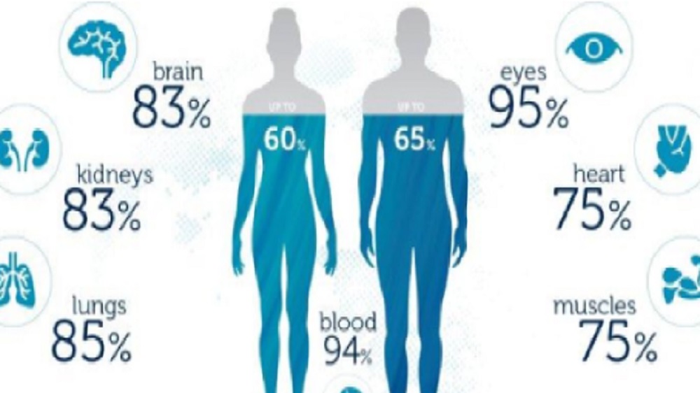 Pentingnya Hidrasi Bagi Kesehatan Tubuh Manusia