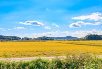 Saran Perjalanan Untuk Backpacker Pemula Di Asia