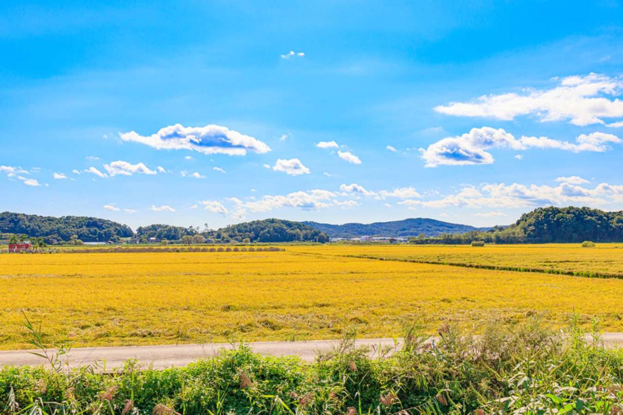 Saran Perjalanan Untuk Backpacker Pemula Di Asia