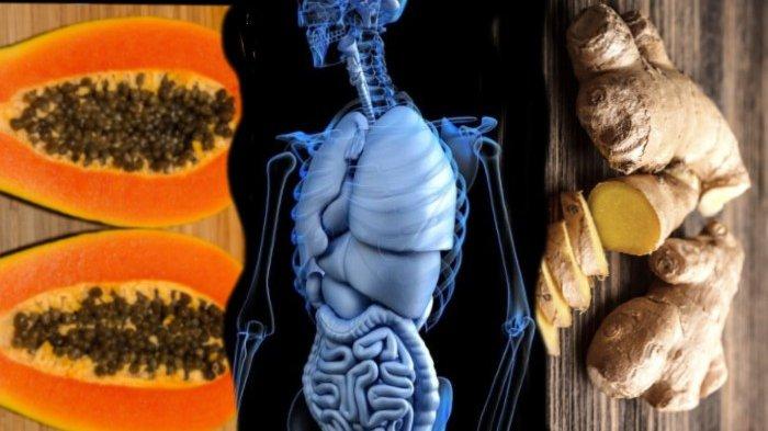 Solusi Alami Untuk Mengatasi Gangguan Pencernaan