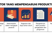 Bagaimana Software Mempengaruhi Produktivitas Kerja