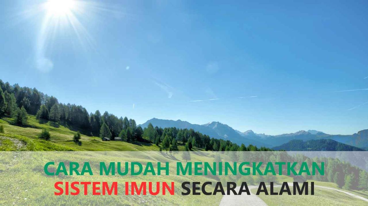 Bahan Alami Untuk Meningkatkan Sistem Imun