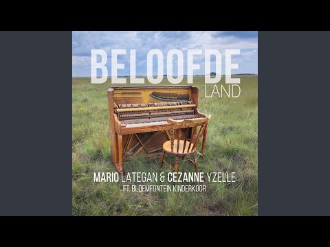 1. Populaire Betaalmethoden en Landelijke Beschikbaarheid